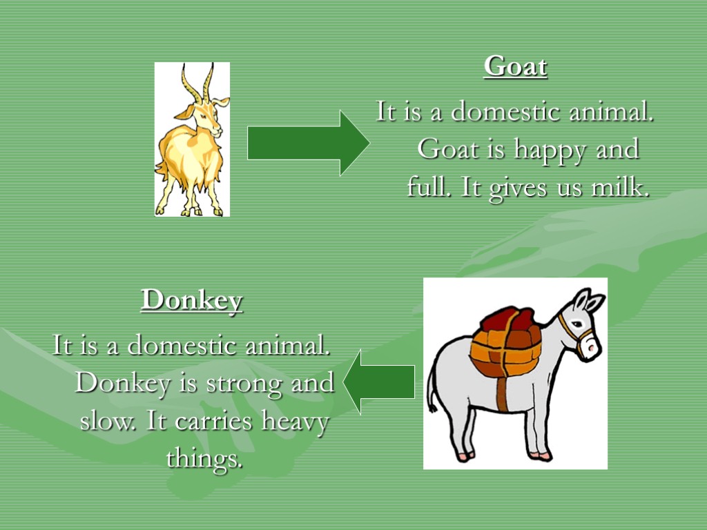 Goat It is a domestic animal. Goat is happy and full. It gives us